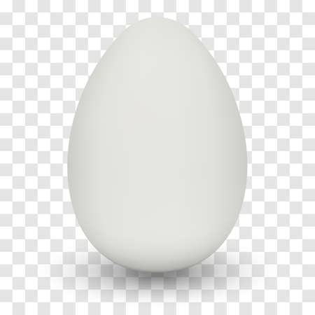 Chicken Egg with shadow on transparent background.のイラスト素材