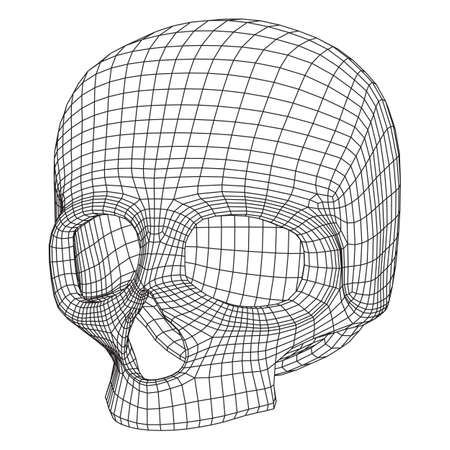 Skull wire frame illustration.のイラスト素材