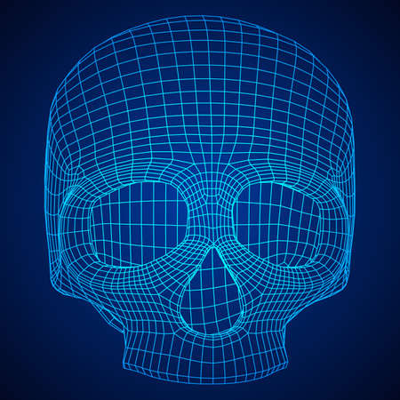 Skull wire frame illustration.のイラスト素材