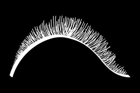 White false eyelashes. Mascara decorative element vector illustrationのイラスト素材