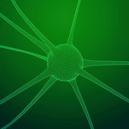 Neuron system wireframe mesh model. Low poly vector illustration. Science and medical healthcare conceptのイラスト素材