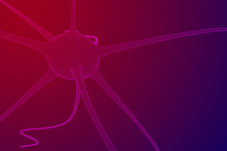 Neuron system wireframe mesh model. Low poly vector illustration. Science and medical healthcare...