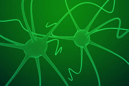 Neuron system wireframe mesh model. Low poly vector illustration. Science and medical healthcare conceptのイラスト素材