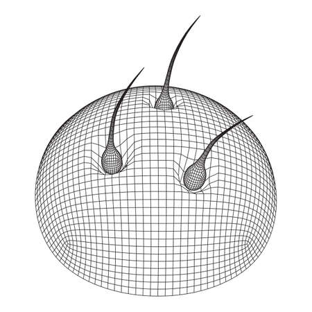 Hair follicle protect care cosmetic technology concept. Hair root structure repair shampoo salon treatment. Anatomy strands medicine trichology. Wireframe low poly mesh vector illustrationのイラスト素材