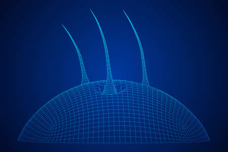 Hair follicle protect care cosmetic technology concept. Hair root structure repair shampoo salon treatment. Anatomy strands medicine trichology. Wireframe low poly mesh vector illustrationのイラスト素材