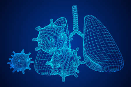 Corona Virus and Lungs with trachea bronchi internal organ human. Covid virus pulmonology medicine science concept. Wireframe low poly mesh vector illustration.のイラスト素材