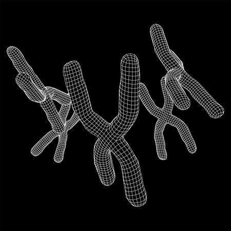Chromosome scientific medicine education concept. Wireframe low poly mesh vector illustrationのイラスト素材
