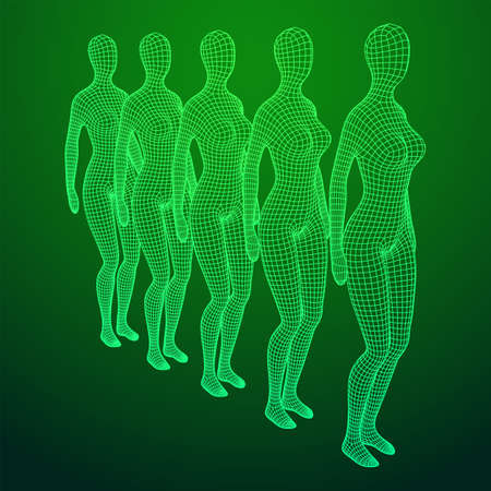 Female or woman queue. Body biology medicine education concept. Wireframe low poly mesh vector illustration.のイラスト素材