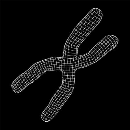 Chromosome scientific medicine education concept. Wireframe low poly mesh vector illustrationのイラスト素材