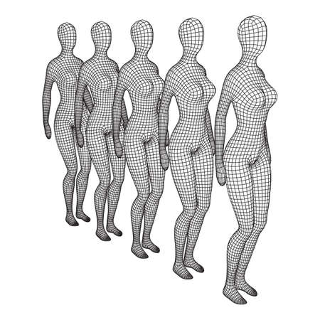 Female or woman queue. Body biology medicine education concept. Wireframe low poly mesh vector illustration.のイラスト素材