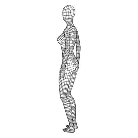 Vector Of Female Or Woman Anatomy Body Id Royalty Free Image Stocklib