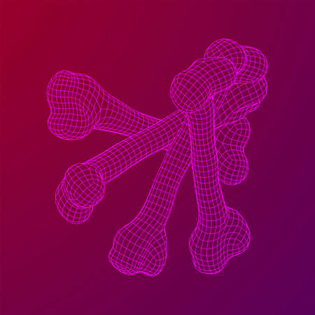 Anatomy Dog Bone object. Wireframe low poly mesh