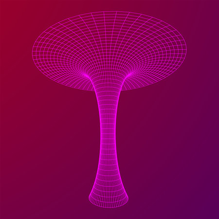 Wormhole tunnel mesh objects. Network wireframe low poly mesh vector illustrationのイラスト素材
