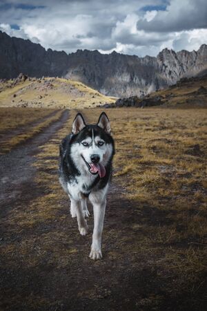 Seashell on the sea at sunset. Sunset on the sea coast.の写真素材