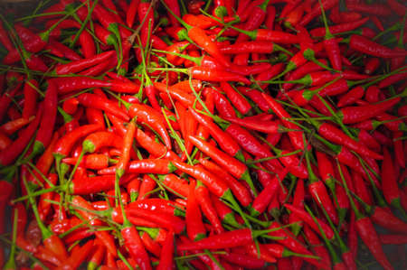 Fresh red chillies at a local marketの写真素材
