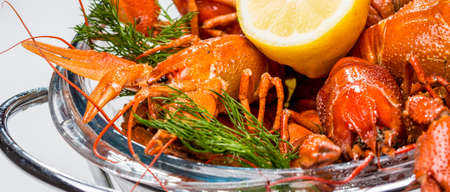 Boiled crayfish on a white backgroundの写真素材
