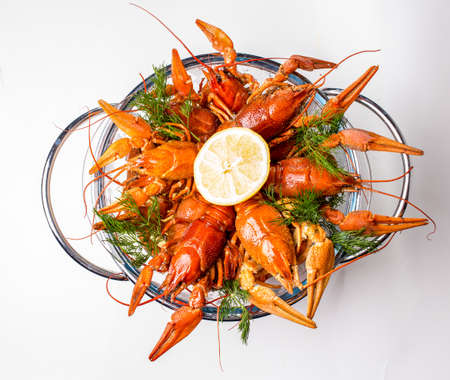 Boiled crayfish on a white backgroundの写真素材