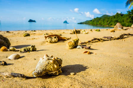 yaonoi beachの写真素材