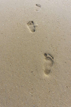 a lone footprints in sand songkhla,thailandの写真素材
