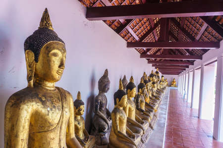 row buddha statue at Wat Phra Borommathat Chaiyaの写真素材