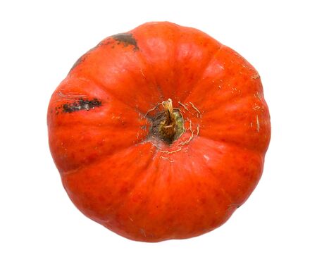 Orange big pumpkin isolated on white backgroundの写真素材