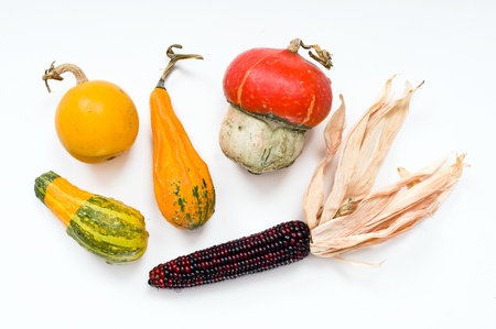 Different kind of pumpkins isolated on white backgroundの写真素材