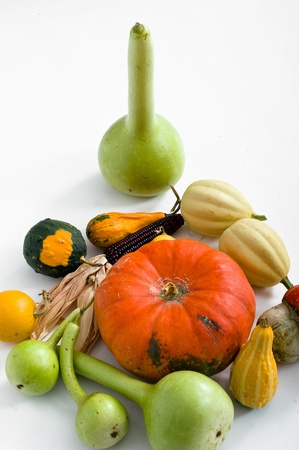 Different kind of pumpkins isolated on white backgroundの写真素材