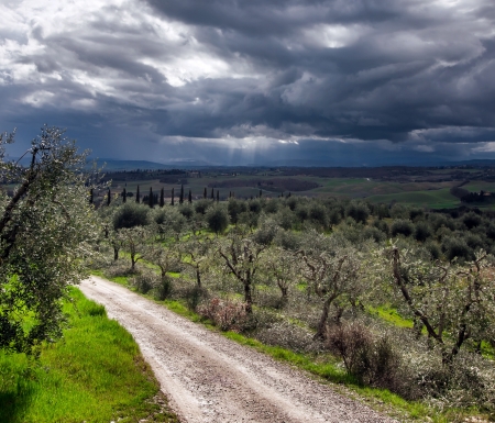 Stormy sky over green field, Tuscany, Italyの写真素材