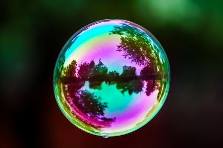 Soap bubble flying. City reflected in. Park.の写真素材
