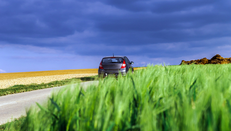 Colorful rural landscape with green fields. Belgium countrysideの写真素材