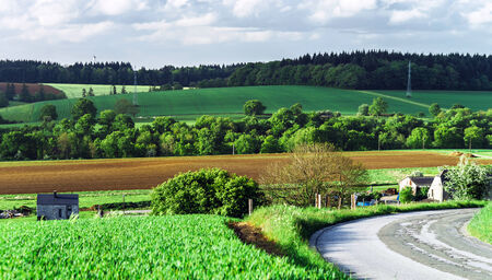 Road through fields in countryside, Belgium. Sunset.の写真素材