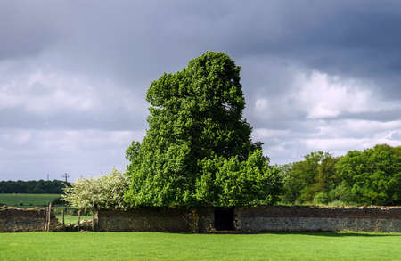 Calm rural landscape. Fields and spaces. Belgiumの写真素材