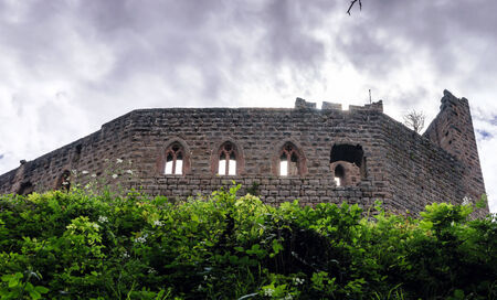 Medieval castle Spesbourg in Alsace, top of the hillの写真素材