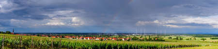 Vivid colors of vineyards on sunset, France,  Alsaceの写真素材