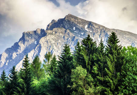 Mountains of Austria, Alps. Green fields and rocksの写真素材