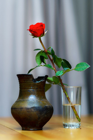 Beautiful red single rose in the glass, interior decorの写真素材