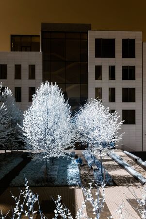 Modern style buildings in center of Moscow, infrared view, springの写真素材
