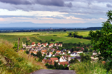 Bird-fly overview to small village in Alsace, France. Summer day.の写真素材
