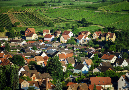 Bird-fly overview to small village in Alsace, France. Summer day.