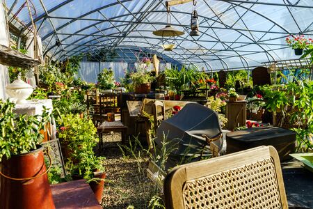 Sunny hothouse in a little farm of plants, Franceの写真素材