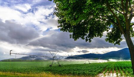 Auto irrigation systems on french rural fields. Agricultural concept. Stormy weather.の写真素材