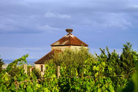 Beautiful colorful sunset over alsacien village Dambach-la-Ville. Panoramic view. Franceのeditorial素材