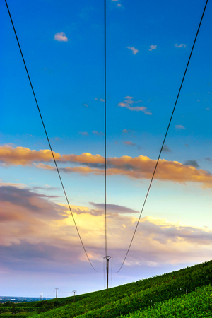 Three electric wire over green hill, sunset backgroundの写真素材