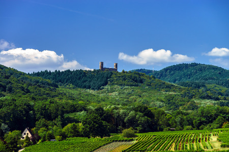 Old medieval castle Andlau on the top of the hill, Franceの写真素材