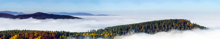 Great overcast over Alsace. Panoramic view from top of the mountain. Fog sea under foot.