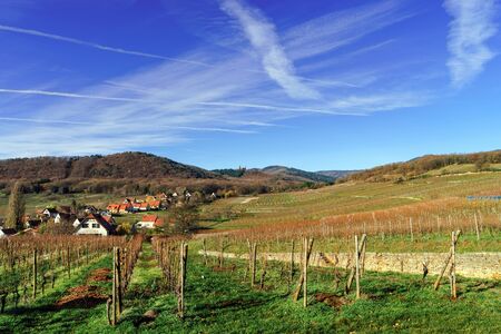 Andlau castle panoramic view through the vineyard, Franceの写真素材