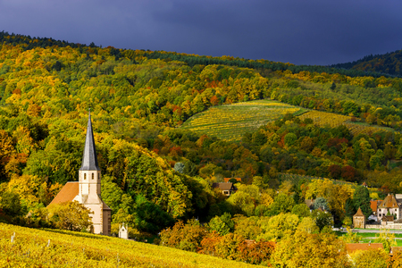 Vivid colors of autumn vineyards in Andlau, Alsace. Contrast colorful weather. Season concept.の写真素材