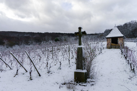 Religious cross in winter snowy vineyard, Alsace, Franceの写真素材
