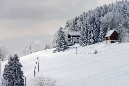 Snow-covered flank of hill, winter fairy tale