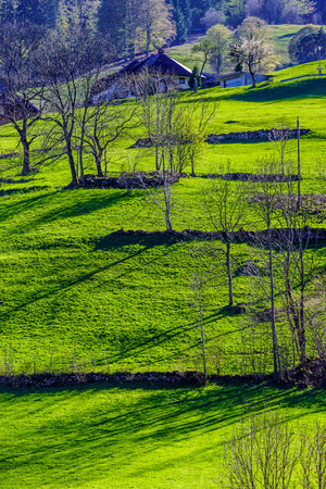 Green grass on the field, summer landscape, Franceの写真素材